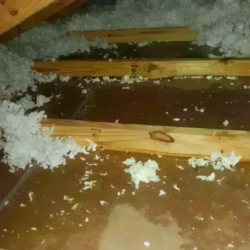 Attic Water Damage in Moodus, CT